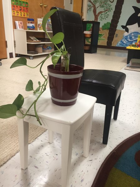 iSprout S.T.E.A.M Academy