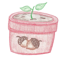 Little Acorns Education Center