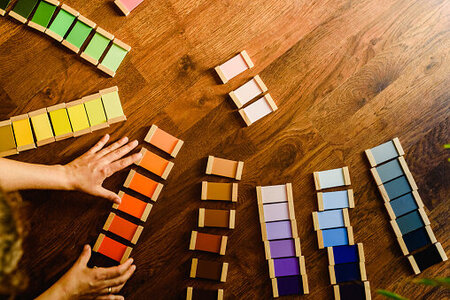 Montessori Day School Of Brooklyn