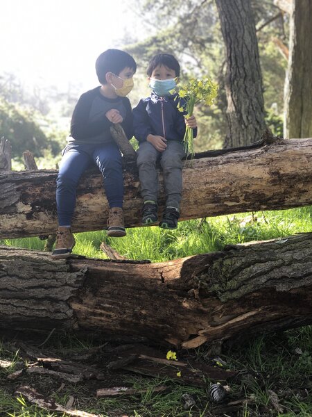 Wise Forest Preschool's Photo