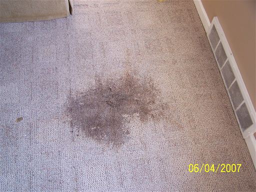 Mighty Clean Services's Photo