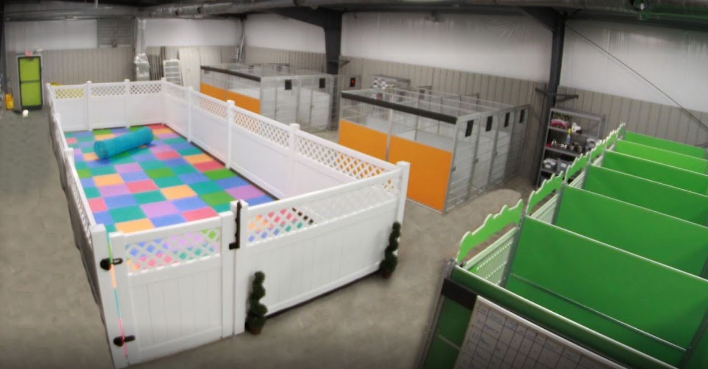 Camp Mutt, LLC's Photo