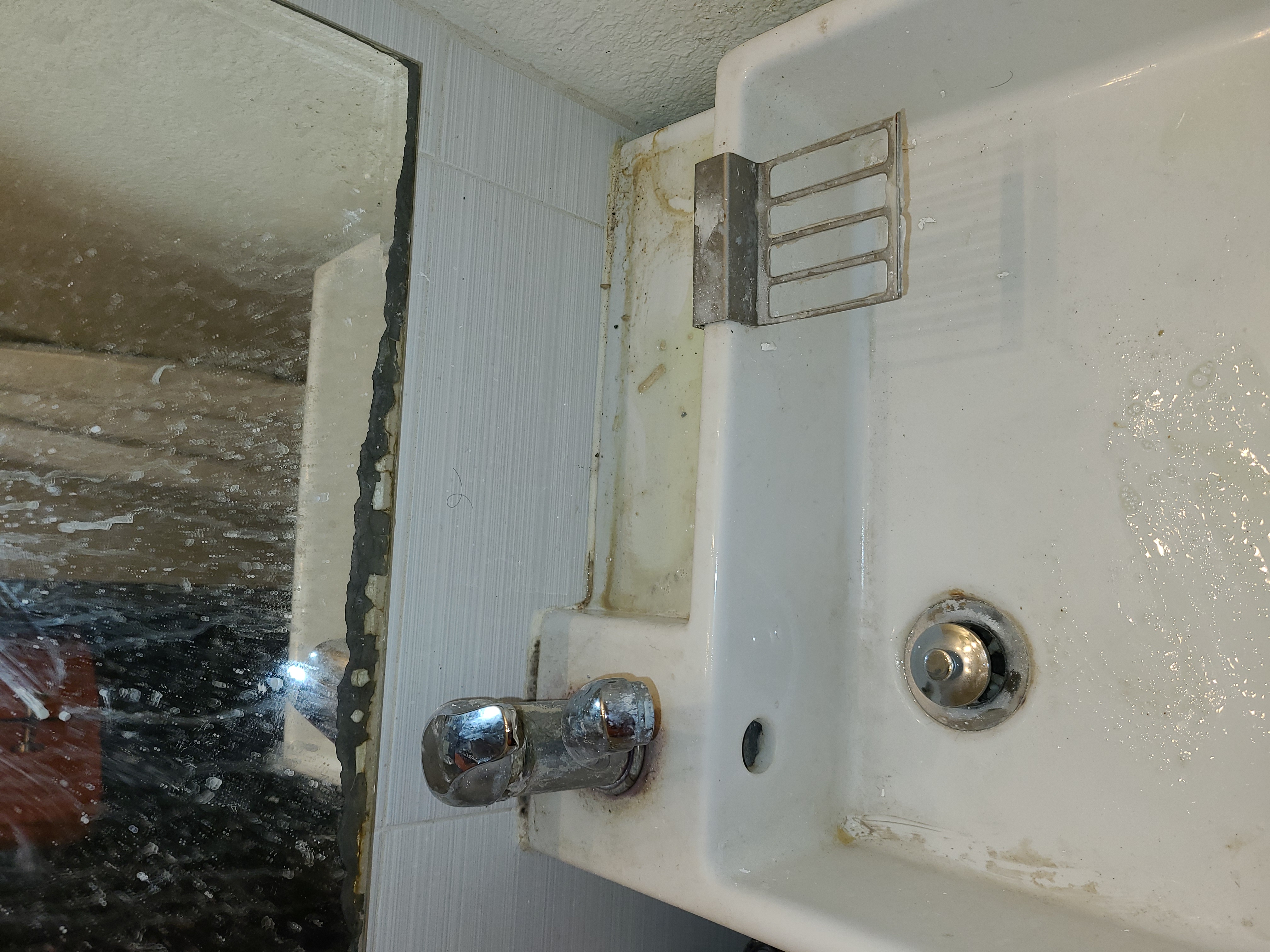 Los Angeles Cleaning Services's Photo