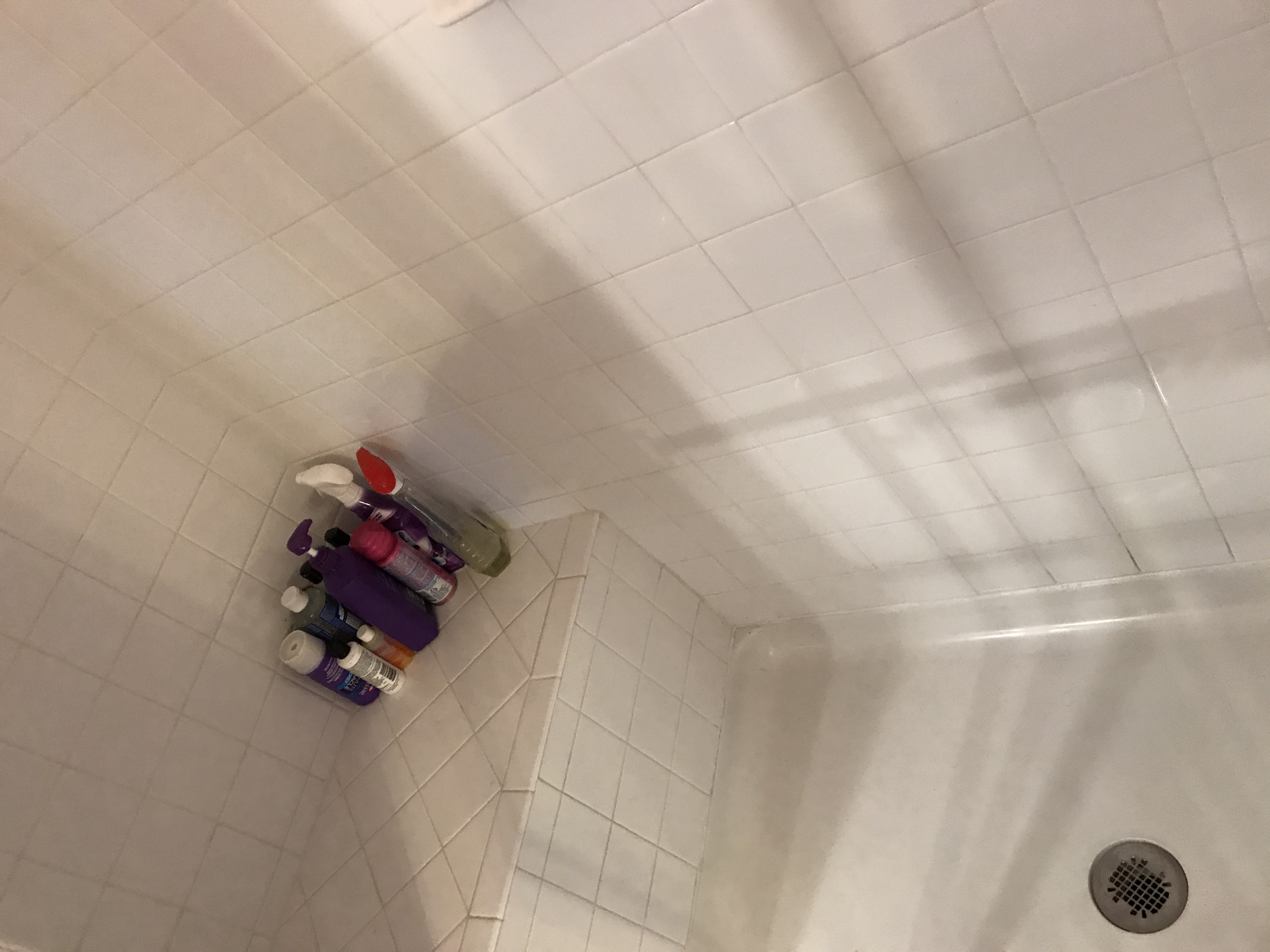 Carehere Housekeeping LLC's Photo