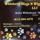 Whiskers Wags N Wiggles Pet Sitting, LLC