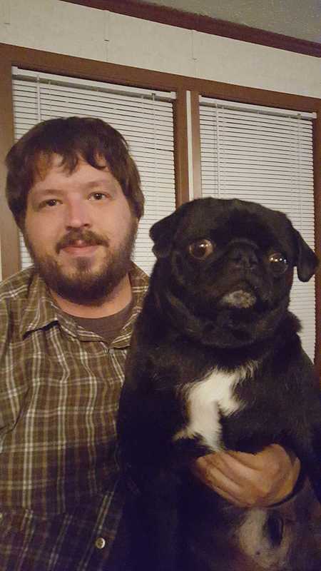 Watley's Dog Services