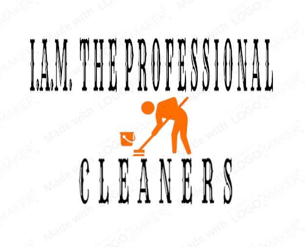 I Ayala Minnick The Professional Cleaners's Photo