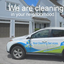 Real Cleaning Services