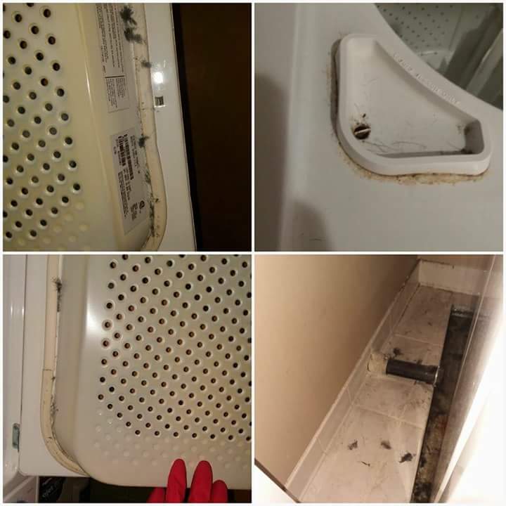 Jenni Cleans It LLC's Photo