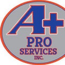 A+ Pro Services Inc.