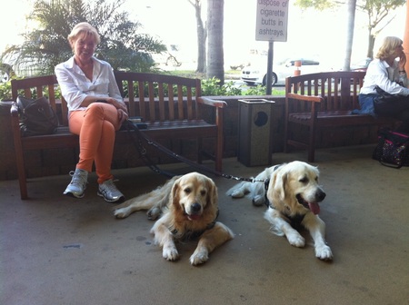 Doggi Pension