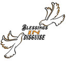 Blessings In Disguise LLC's Photo