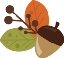 Happy Acorns Daycare