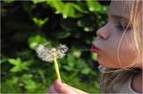 Starry Garden Montessori School's Photo
