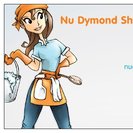 Nu Dymond Shyne Cleaning