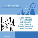 Cleaning Champ