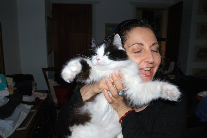 While They Happily Wait's Photo