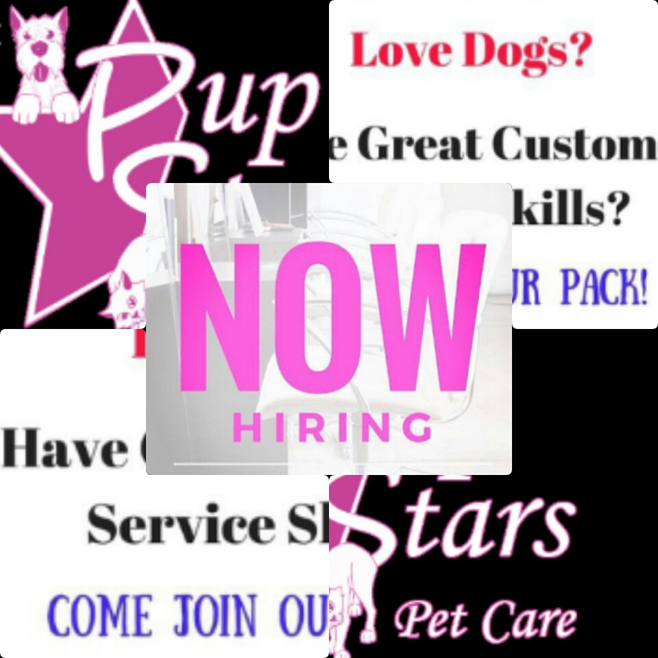 PupStars Pet Care's Photo