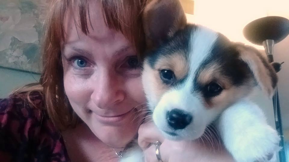 FuzzyLuvins Pet Care, LLC's Photo
