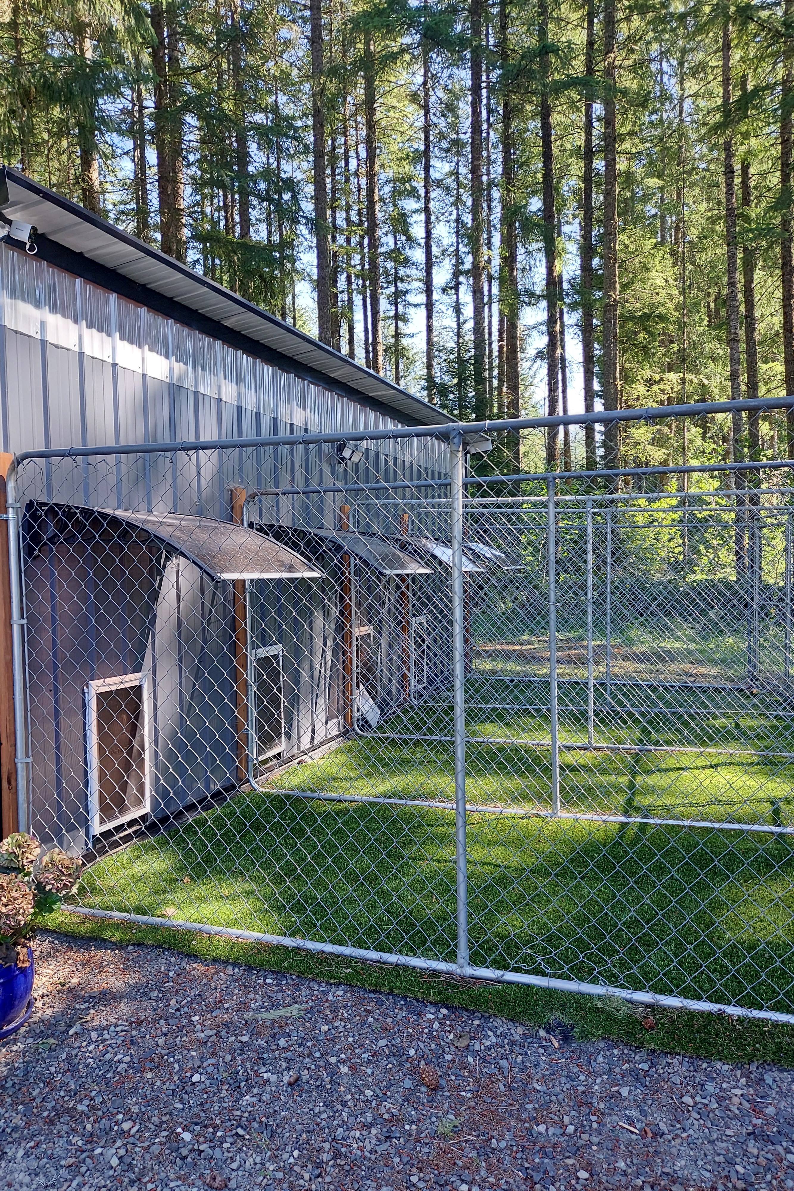 Golden Amore Boarding and grooming's Photo