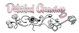 Detailed Cleaning Services