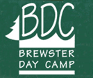 Brewster Day Camp at the Family Schools