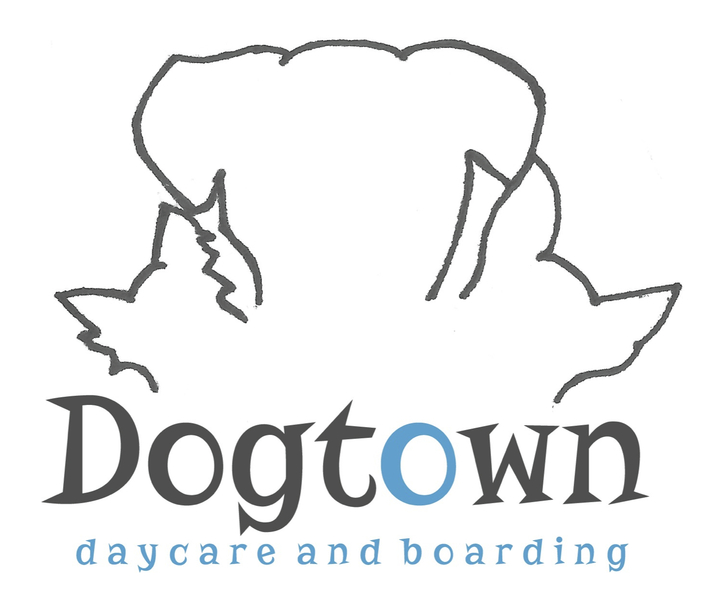 Dogtown Daycare & Boarding's Photo