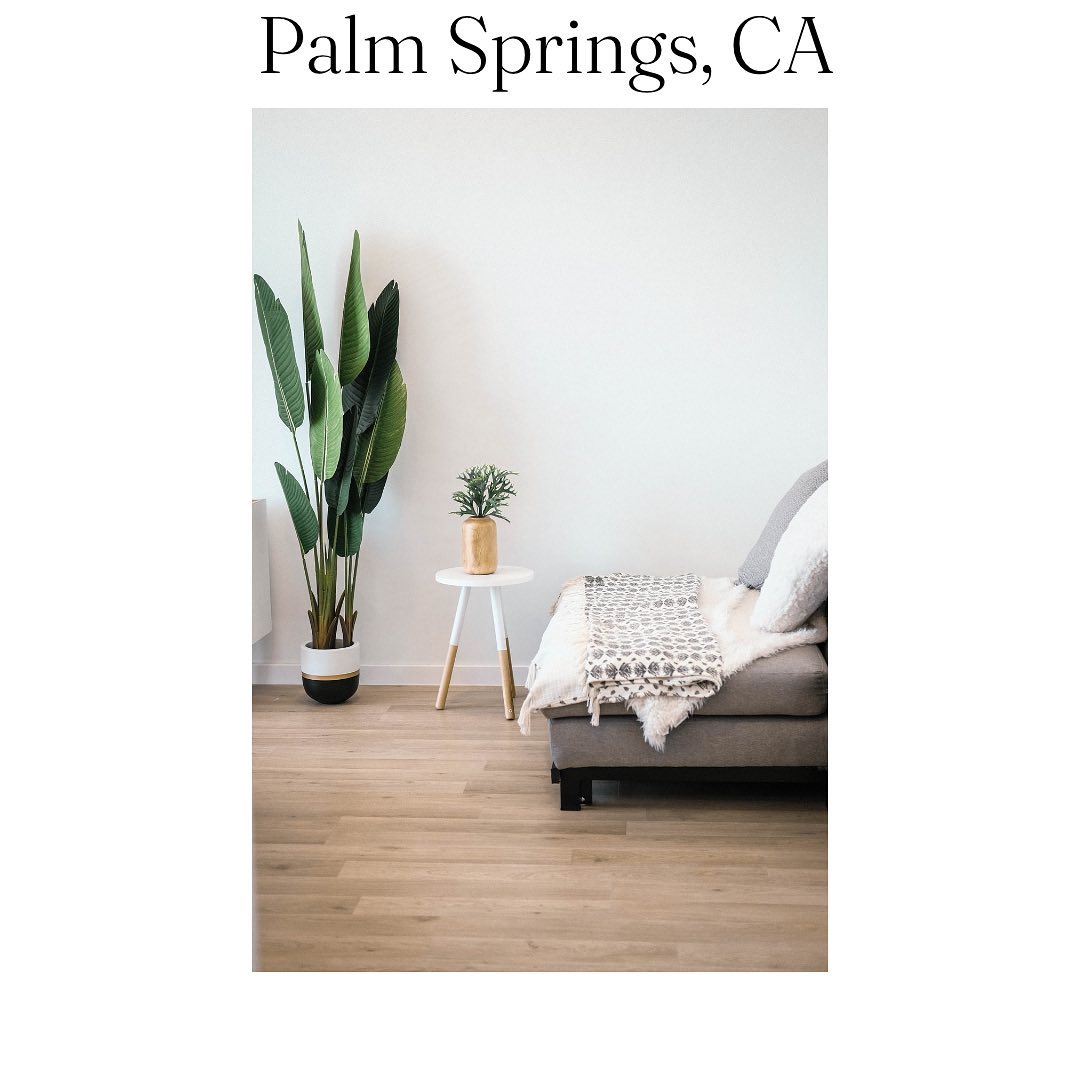 Dust Bunny L.L.C.'s Photo