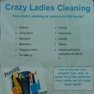 Crazy Ladies Cleaning
