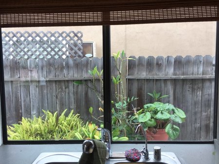 Ecoshine Window Cleaning's Photo