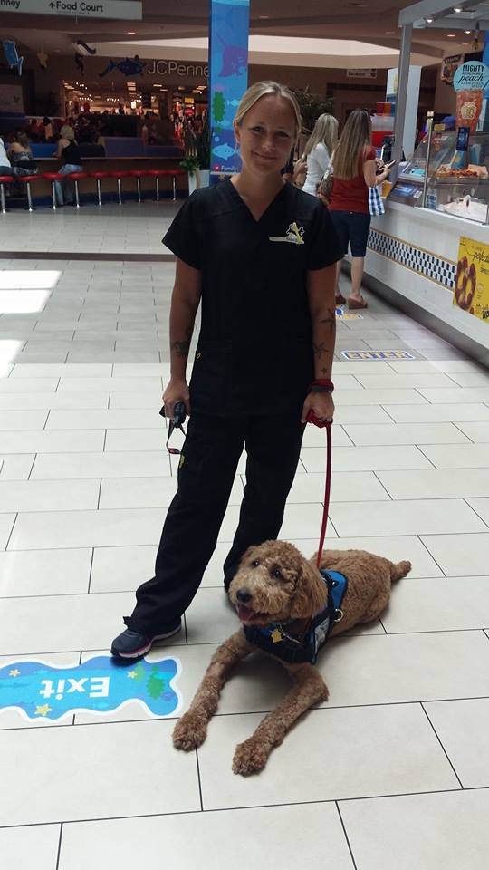 Angel's Basics Dog Training's Photo