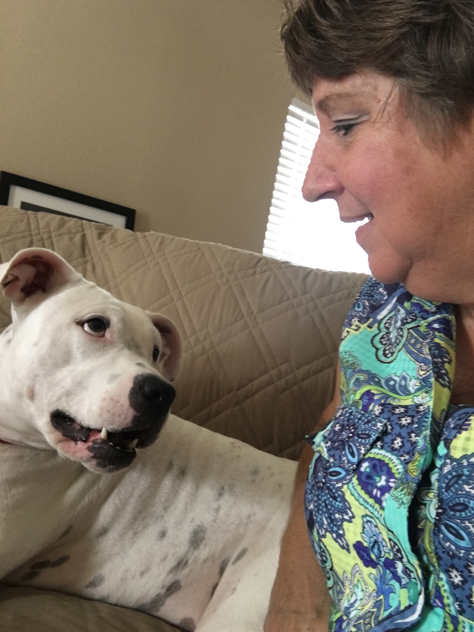 Mama Colleen's Personal Pet Care LLC's Photo