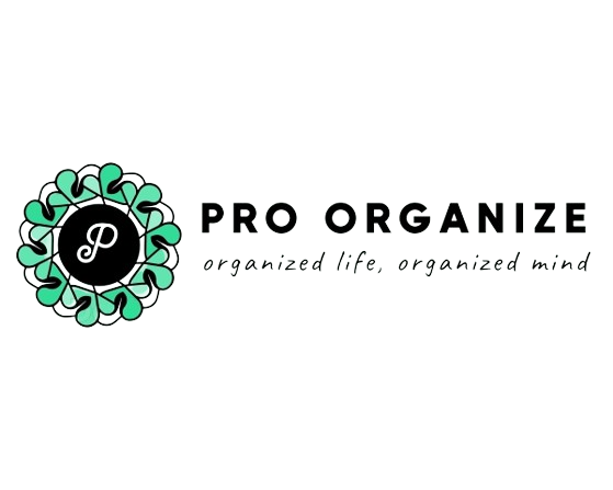Pro.organize Logo