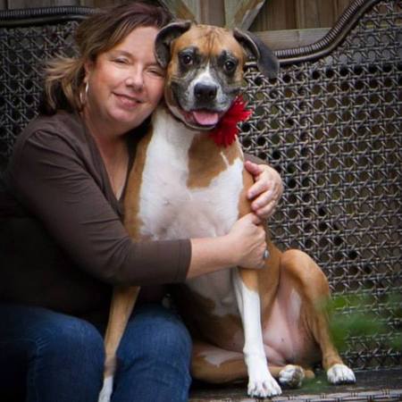 comfort and play pet sitting's Photo