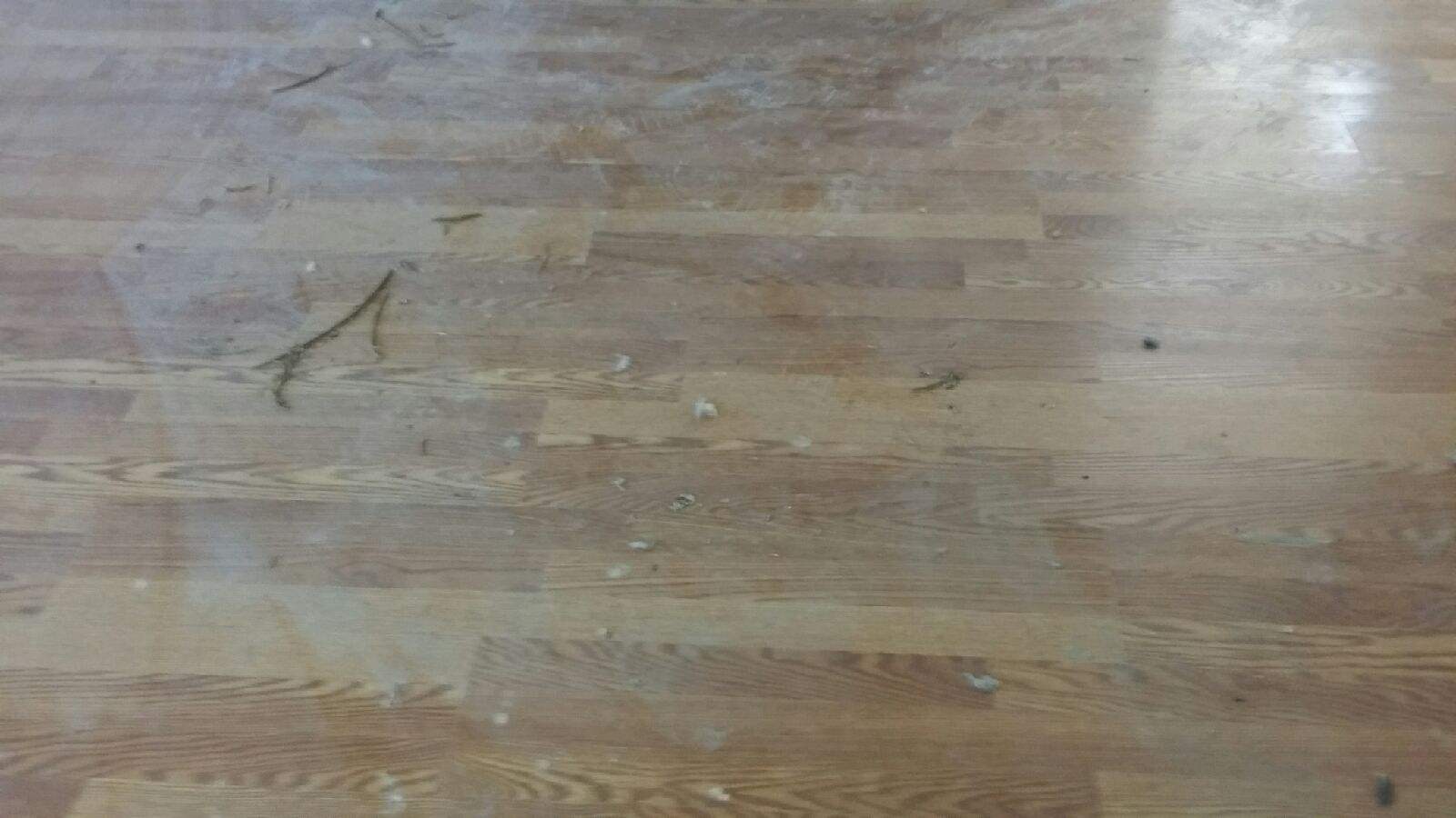 Sammy's Residential and Commercial Cleaning Services's Photo