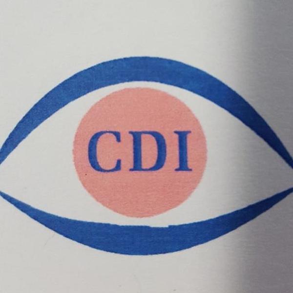 Cdi Childcare Logo