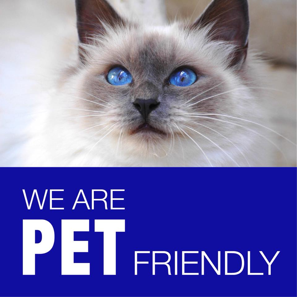 Clearspot LLC's Photo