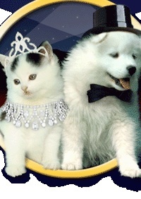Brandywood Pet Care's Photo