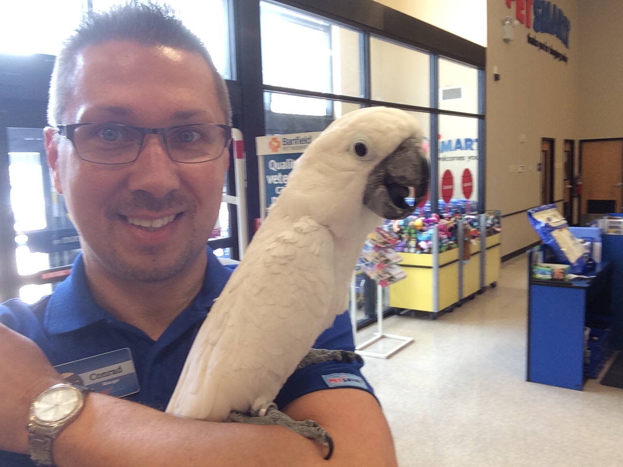 Foxx Forest Bird Care's Photo