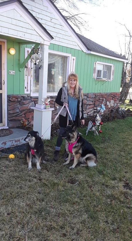 Cheryl's Doggy Den Daycare's Photo