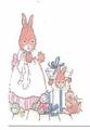 The Bunny Hut