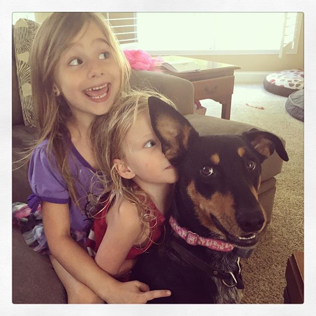 Mutts and Such Pet Care's Photo