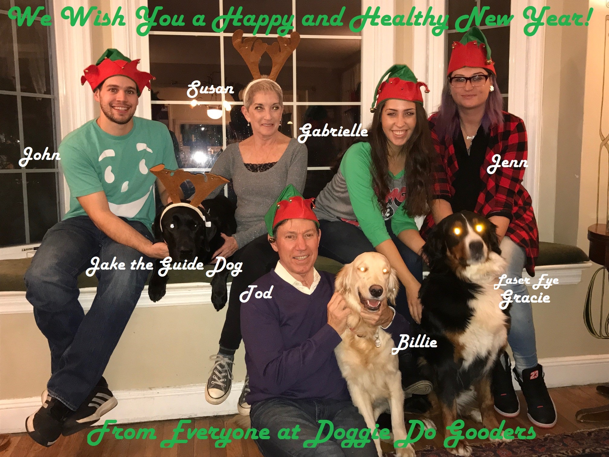 Doggie Do Gooders's Photo