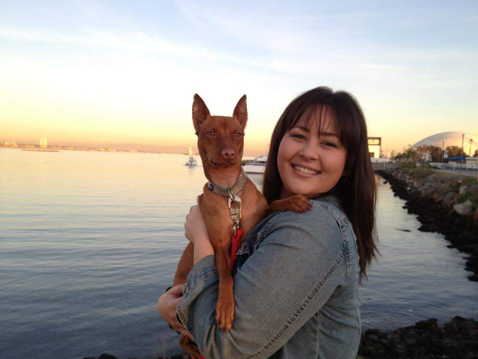 Bonehead'z Dog Training's Photo