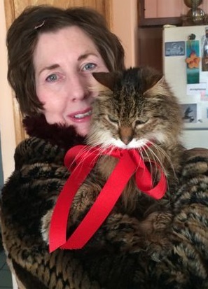 Shona Venture LLC's Photo