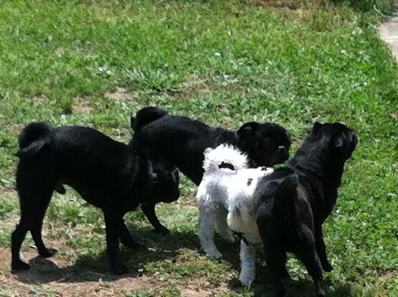 Little Jodies Playhouse's Photo