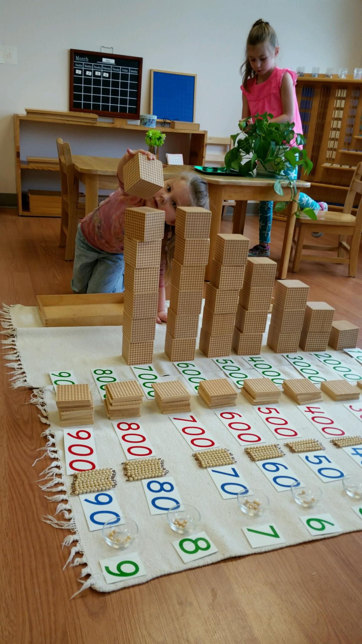 Lake Country Montessori School's Photo