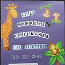 Lil Monkeys Childcare
