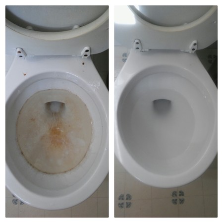 Salt of the Earth Cleaning's Photo