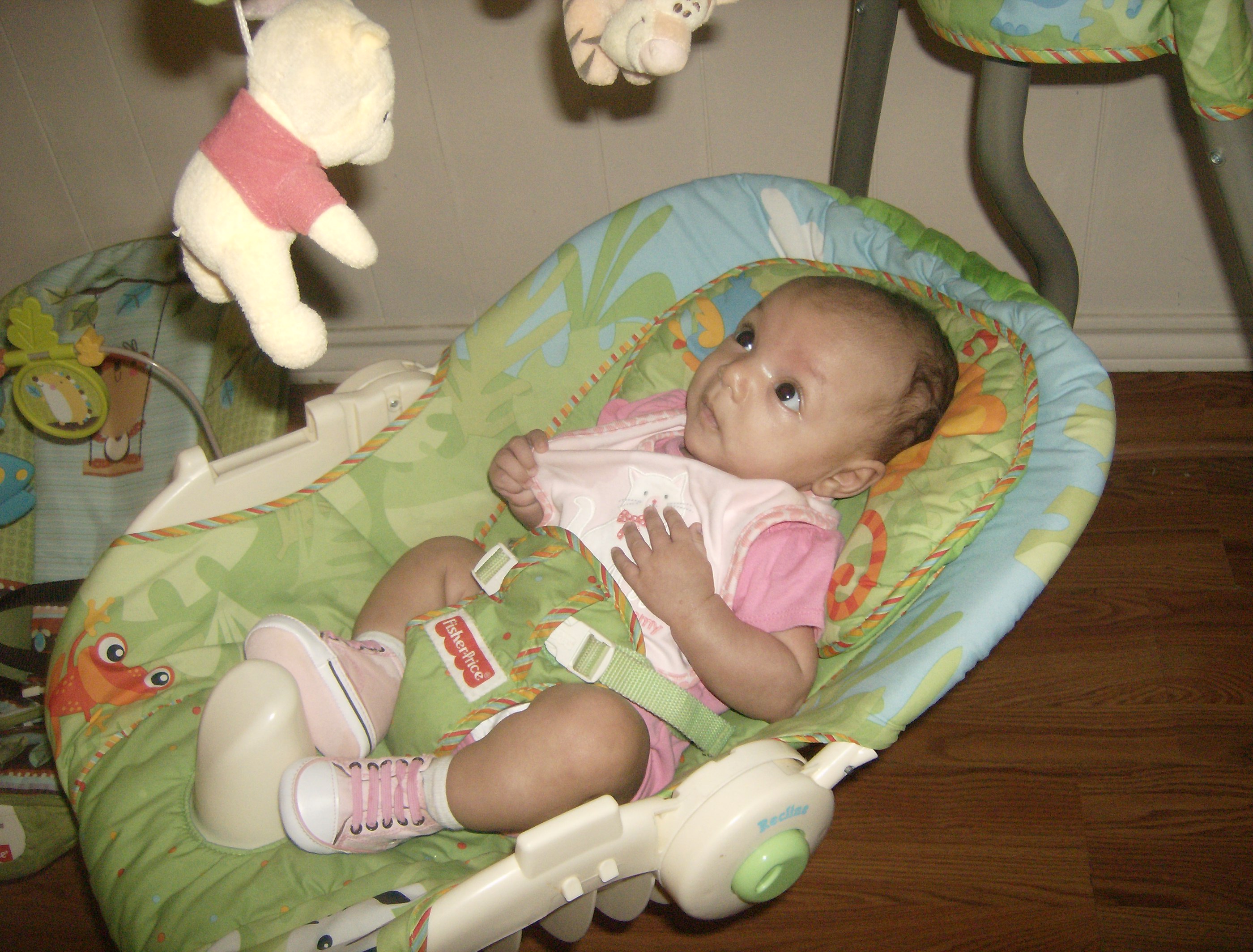 Mamie Land, Inc.'s Photo